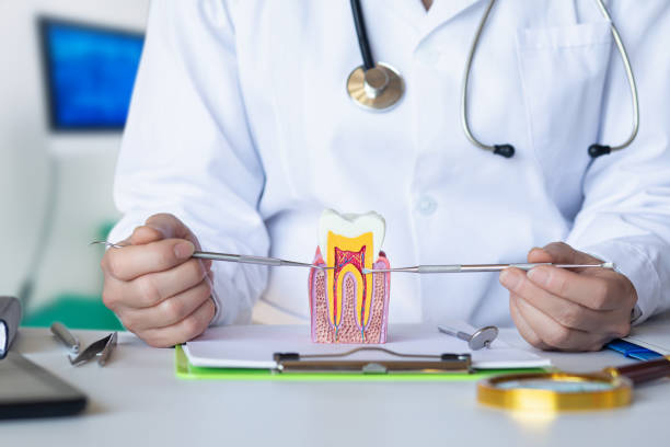 Best Broken or Cracked Tooth Emergency Dentist in Belington, WV